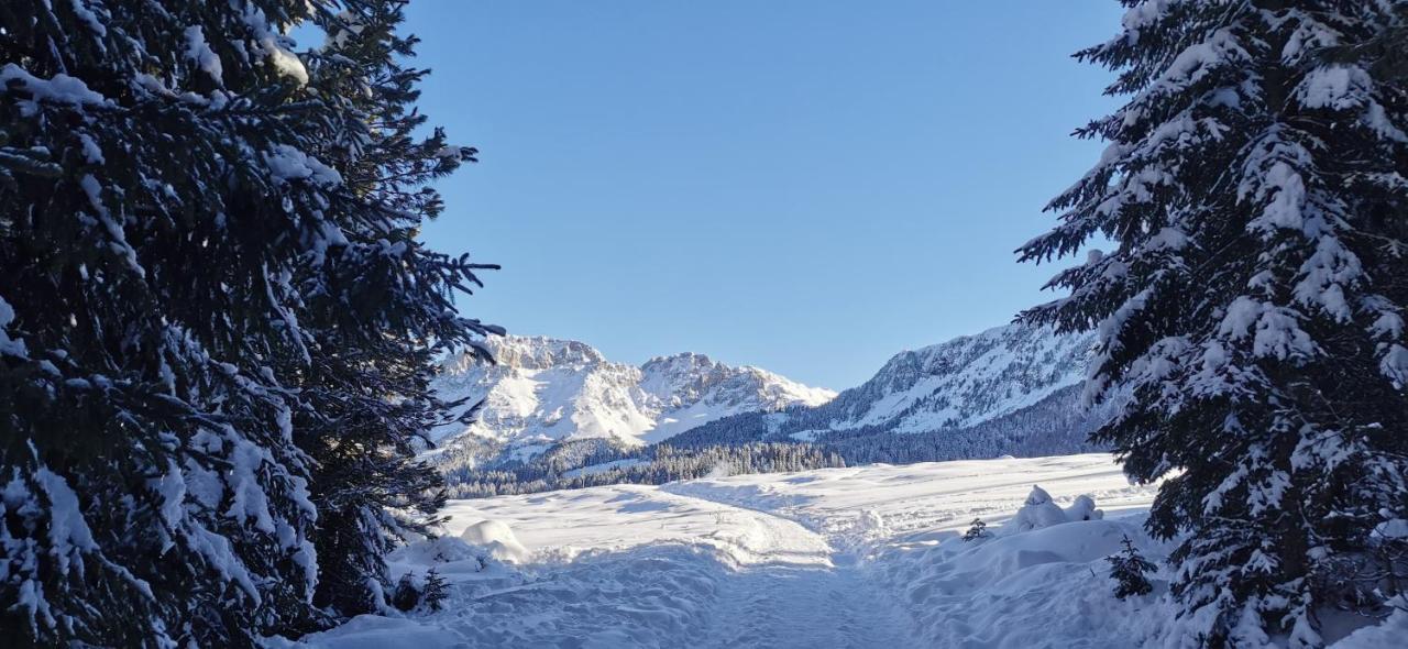 Ziano di FiemmeTrilocale Mansardato Nel Cuore Della Val Di Fiemme公寓 外观 照片